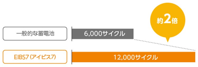 ダイヤゼブラ特徴③