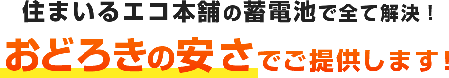 おどろきの安さ