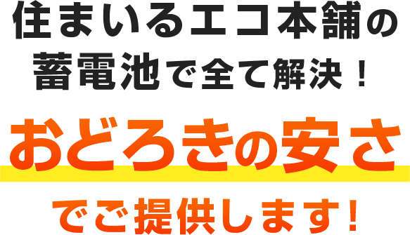 おどろきの安さ