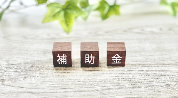 蓄電池導入に活用できる補助金とリース制度の活用法