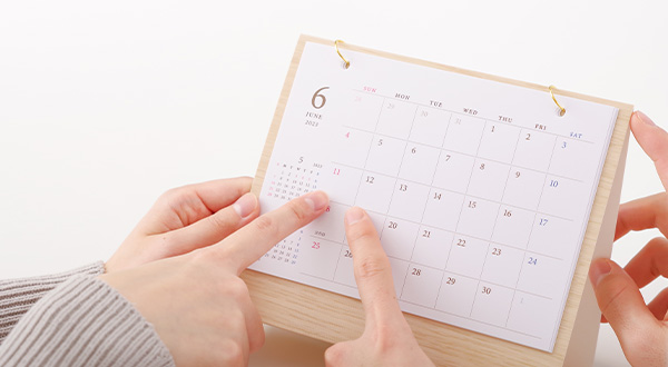 現地調査から設置完了までの全体スケジュール