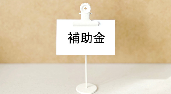 国の補助金制度の最新情報（2025年度版）