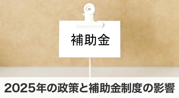 2025年の政策と補助金制度の影響