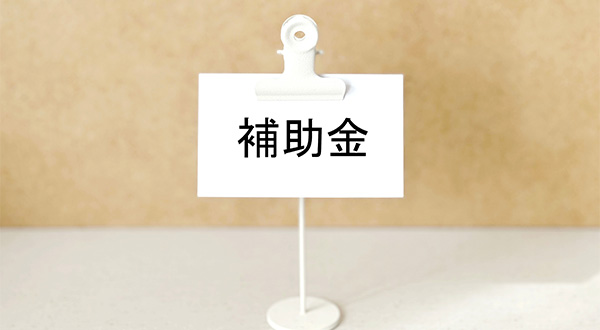 補助金・キャンペーン・リースの違いを解説
