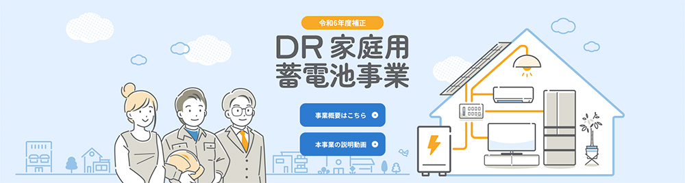 SIIのDR補助金とは？