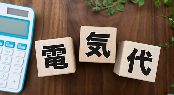 一人暮らし（目安：200～300kWh/月）