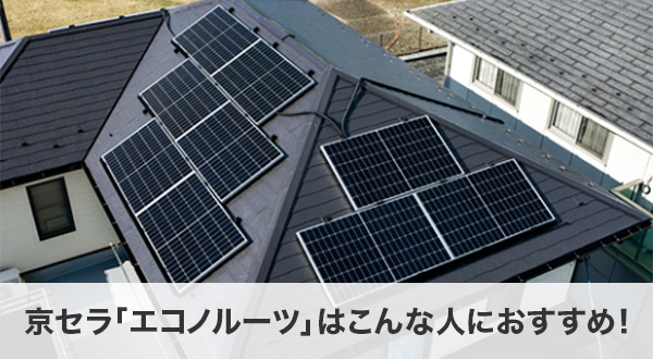 【まとめ】京セラ「エコノルーツ」はこんな人におすすめ！