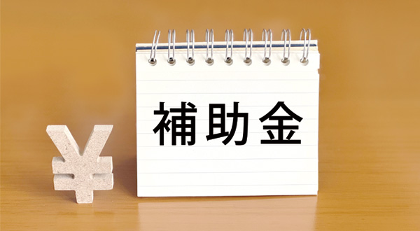 市場拡大と補助金制度が背景にある