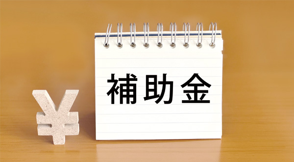 補助金・助成金を使って交換費用を抑える方法