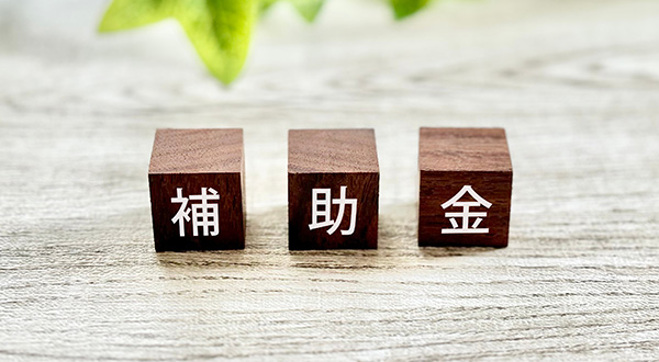 自治体の補助金や助成金制度を活用する